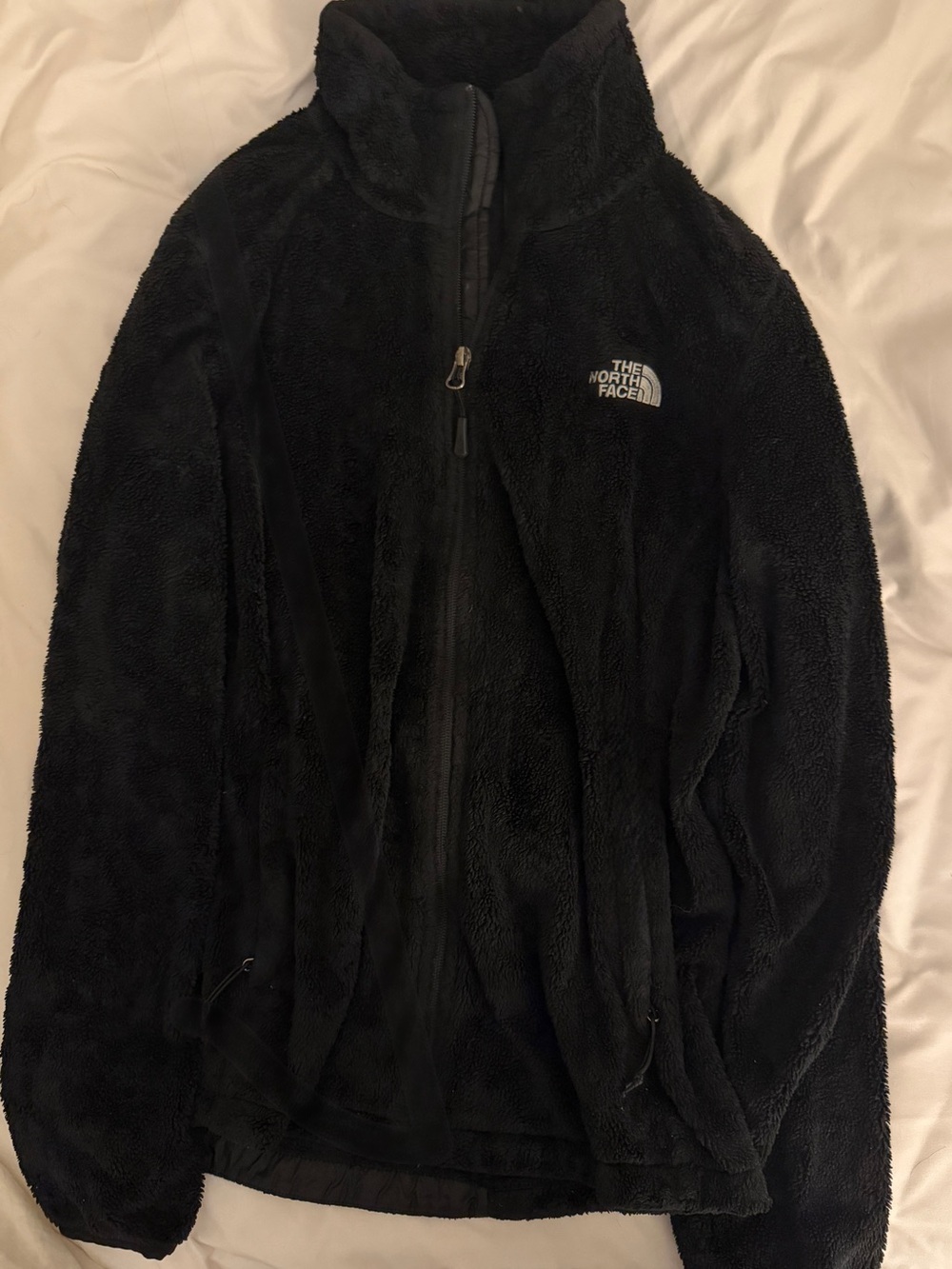 The North Face Black Sherpa Teddy Jacket
